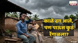 ढगाळ वातावरण की फक्त हुलबाजी? पावसानं लावला जीवाला घोर; पुढील 24 तासांत...