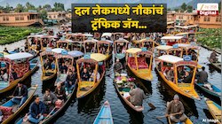निसर्गरम्य दल लेकला हे काय झालं? काही सेकंदांच्या व्हिडीओनं इथं येणाऱ्यांना धक्का! 