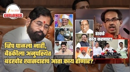 6 बंडखोर बैठकीला गैरहजर; खासदारकी रद्द? कायदा काय सांगतो? ठाकरेंकडे पर्याय काय?