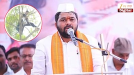 आंदोलकाने झाडावर चढून फेकले सुतळी बॉम्ब; पोलीस सरसावल्यावर म्हणू लागला राष्ट्रगीत