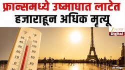 युरोपातील अनेक देशांचे तापमानाचे नवे विक्रम, फ्रान्समध्ये उष्माघात लाटेत हजाराहून अधिक मृत्यू 