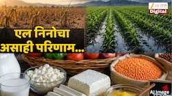 क्षीण घालवणारा चहा, ते पोट भरणारं जेवण; एल निनोमुळं ताटातून कायकाय नाहीसं होणार? 