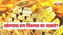 सोन्याचा रंग पिवळाच का असतो? 99 टक्के लोकांना माहित नसेल कारण 