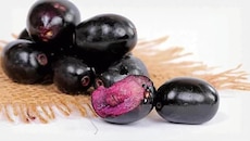 Jamun Buying Tips: जांभूळ गोड आहे की नाही कसं ओळखायचं? खरेदीपूर्वी जाणून घ्या टिप्स 