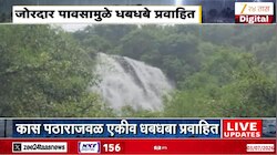 सातारा पश्चिमेला दमदार पाऊस; ठिकठिकाणी धबधबे प्रवाहित 