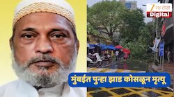  मुंबईत धोकादायक झाडाचा तिसरा बळी, चेंबुर, भाईंदरनंतर आता कुर्ल्यात झाड कोसळून दोघांचा मृत्यू