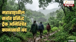 महाराष्ट्रातील 'सर्वात सुंदर ट्रेक' पर्यटकांसाठीअनिश्चित काळ बंद;  ऐन पावसाळ्यात वनविभागाचा निर्णय, कारणही सांगितलं