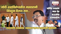'अजित पवारांनी पक्ष फोडल्यावर शरद पवारांच्या...', 'राष्ट्रवादीचे खासदार अस्वस्थ'वरुन राऊतांनी सुनावलं; '2029 ला महाराष्ट्रात...'