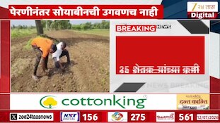 VIDEO : वाशिम जिल्ह्यात बोगस बियाण्यांचा फटका