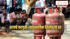 LPG Price Today: घरगुती गॅस सिलेंडर आणि व्यावसायिक LPG ग्राहकांसाठी मोठा दिलासा, 12 जुलैचे महाराष्ट्रातील दर जाणून घ्या 