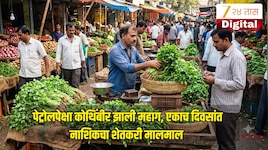 काय सांगता! पेट्रोलपेक्षा कोथिंबीर झाली महाग, एकाच दिवसांत नाशिकचा शेतकरी मालमाल