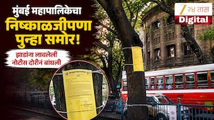 मुंबई महापालिकेचा निष्काळजीपणा पुन्हा समोर, झाडांना लावलेली नोटीस दोरीनं बांधली