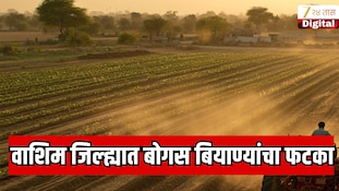 VIDEO : वाशिम जिल्ह्यात बोगस बियाण्यांचा फटका