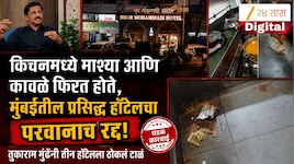 किचनमध्ये माश्या आणि कावळे, मुंबईतील प्रसिद्ध नूर मोहम्मदी हॉटेलचा परवानाच रद्द; तुकाराम मुंढेंनी तीन हॉटेलला ठोकलं टाळं
