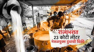 दूध भेसळ प्रकरणात धक्कादायक खुलासा! महाराष्ट्रात 23 कोटी लीटर भेसळयुक्त दूध विकलं