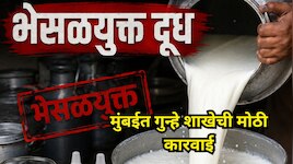 558 लिटर भेसळयुक्त दूध, तब्बल 50 हजार...; मुंबईत गुन्हे शाखेची मोठी कारवाई