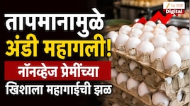 तापमानामुळे अंडी महागली! नॉनव्हेज प्रेमींच्या खिशाला महागाईची झळ   