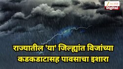 वादळी वाऱ्यासह वरुणराजा बरसणार, राज्यातील 'या' जिल्ह्यांत विजांच्या कडकडाटासह पावसाचा इशारा