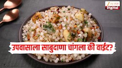 उपवासाला साबुदाणे खावेत की नाही? आरोग्यावर कसा होतो परिणाम? 