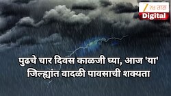 महाराष्ट्रात पुन्हा कोसळधारा! पुढचे चार दिवस काळजी घ्या, आज 'या' जिल्ह्यांत वादळी पावसाची शक्यता