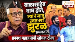 बाळासाहेब वाघ होते, त्यांचे नातू स्वत:ला झुरळ समजतात, प्रकाश महाजनांची खोचक टीका, राज ठाकरेंना लगावला टोला 