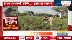  लातूर जिल्ह्यात पावसाने दडी मारल्याने शेतकऱ्यांचं संकट, शेताला टॅंकरचे पाणी 