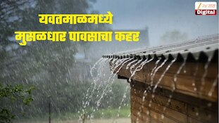 यवतमाळमध्ये मुसळधार पावसाचा कहर, जोरदार पावसामुळे शहरातील अनेक भाग जलमय