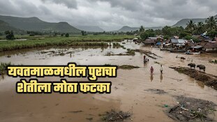 यवतमाळमधील पुराचा शेतीला मोठा फटका; 4 हजार हेक्टर शेतीचं नुकसान