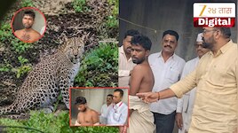 एकच फाईट वातावरण टाईट! अंगावर धावून आलेल्या बिबट्याला तरुणाने बुक्की घालून पळवलं, VIDEO तुफान व्हायरल