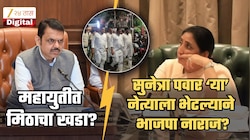 महायुतीत मिठाचा खडा? भाजपा राष्ट्रवादी आमने-सामने? कारण ठरतोय सुनेत्रा पवारांना भेटलेला 'हा' आमदार?