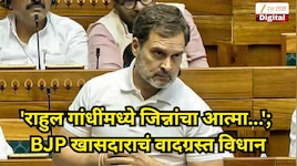 'राहुल गांधींमध्ये जिन्नांचा आत्मा...'; राज ठाकरेंना नडणाऱ्या BJP खासदाराचं वादग्रस्त विधान; 'हा जिन्नांचा दुसरा...'