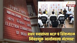 मोठी बातमी! थोड्याच वेळात शरद पवारांच्या राष्ट्रवादीचं शिष्टमंडळ निवडणूक आयोगाच्या अधिकाऱ्यांची घेणार भेट, कारण...