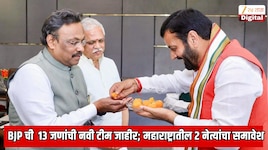 भाजपमध्ये मोठा फेरबदल; 13 जणांची नवी टीम जाहीर; महाराष्ट्रातील 2 नेत्यांना मिळाली मोठी जबाबदारी