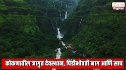 कोकणातील सर्वात प्रसिद्ध आणि जागृत देवस्थान; पिंडीभोवती फणा काढून बसलेला असतो नाग, जवळपास असतात अनेक साप