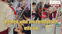 Video: चीनच्या मेट्रोमध्ये अचानक सापांचा सुळसुळाट! बादलीतून अनेक साप एकाचवेळी आले बाहेर; नेमकं काय घडलं? 