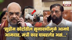 'आमचे आमदार, मंत्री फार घाबरलेत असं शिंदेंनी...', अमित शाहसोबतच्या कथित संवादाबद्दल खळबळजनक दावा; 'शाह म्हणाले, भैय्या...'