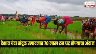 देशात यंदा तांदूळ उत्पादनात 70 लाख टन घट होण्याचा अंदाज