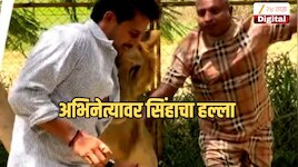 सिंह पाठीमागून आला अन्...कन्नड अभिनेता किरण राजवर हल्ला! नेमकं काय घडलं? Video Viral