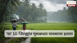 महाराष्ट्रात आजपासून पावसाचा जोर वाढणार! 'या' 10 जिल्ह्यांत मुसळधार पावसाचा इशारा