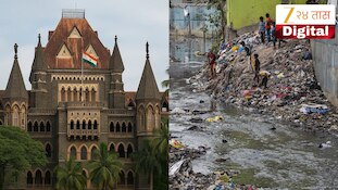 शहरभर घाणीचे साम्राज्य, तरीही प्रशासन ढिम्म; हायकोर्टाकडून बीएमसीची खरडपट्टी