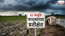 Explainer : महाराष्ट्रावर अल निनोचा भयानक परिणाम; परिस्थिती अत्यंत गंभीर, 19 जिल्ह्यांतील 83 तालुक्यांत पाऊस नाही