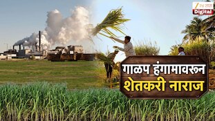 यंदाचा गाळप हंगाम 15 ऑक्टोबरपासून सुरू होणार, ऊस उत्पादक शेतकऱ्यांचा विरोध