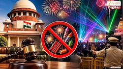 सार्वजनिक ठिकाणी फटाके वाजवता येणार नाहीत, लेझर लाईट दिसल्यास… कोर्टाचा महत्त्वाचा आदेश