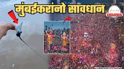 Explained: मुंबईकरांनो सावधान... गणपती विसर्जनासाठी समुद्रात उतरत असाल तर... यंदा स्ट्रींग रे नाही तर 'या'चा धोका अधिक; होणारे परिणाम वाचूनच बसेल धक्का