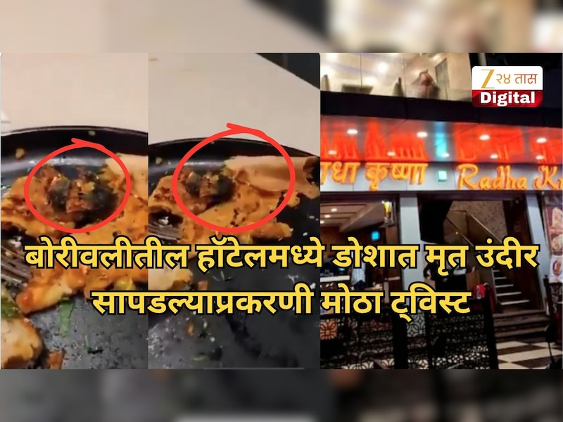 व्हायरल व्हिडिओ अन् 25 लाख...; बोरीवलीतील हॉटेलमध्ये डोशात मृत उंदीर सापडल्याप्रकरणा
