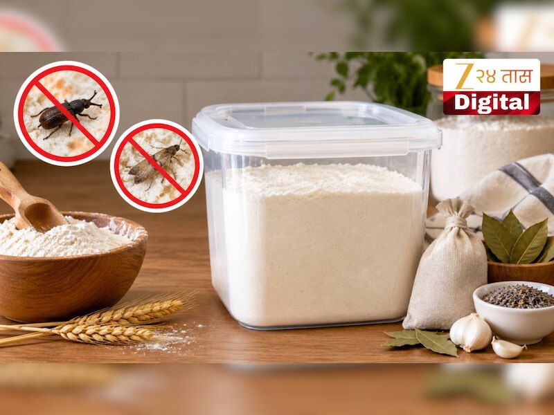 Flour Storage Tips: पिठाच्या डब्यात ठेवा 'ही' एक गोष्ट, किड्यांपासून होईल सुटका