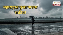महाराष्ट्रात पुन्हा पाऊस सक्रीय! राज्यातील 'या' 7 जिल्ह्यांत वादळी वाऱ्यासह पावसाचा इशारा