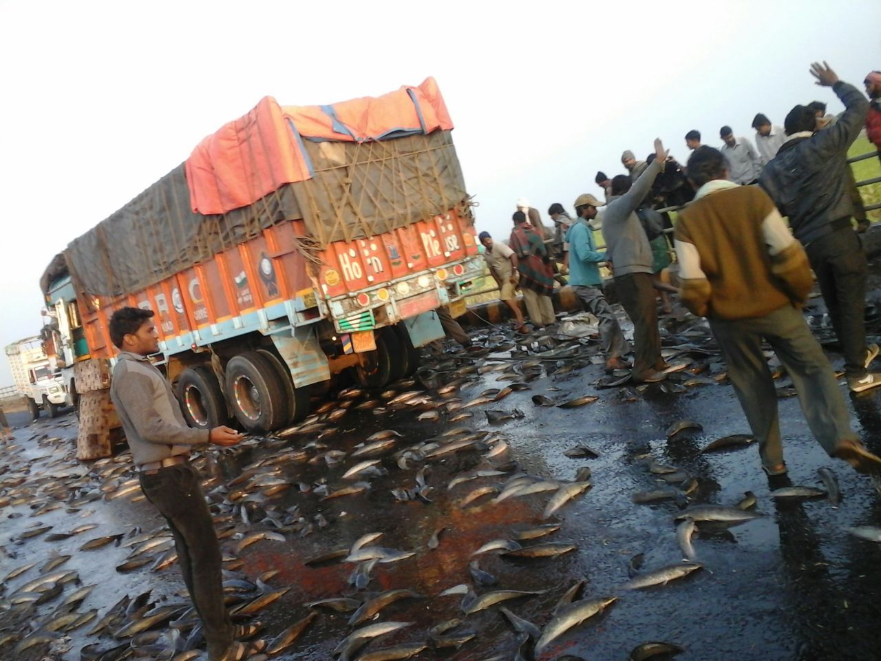 येडशी जवळ मासे घेऊन जाणा-या  ट्रकला अपघात.
सर्व मासे रस्त्यावर. 