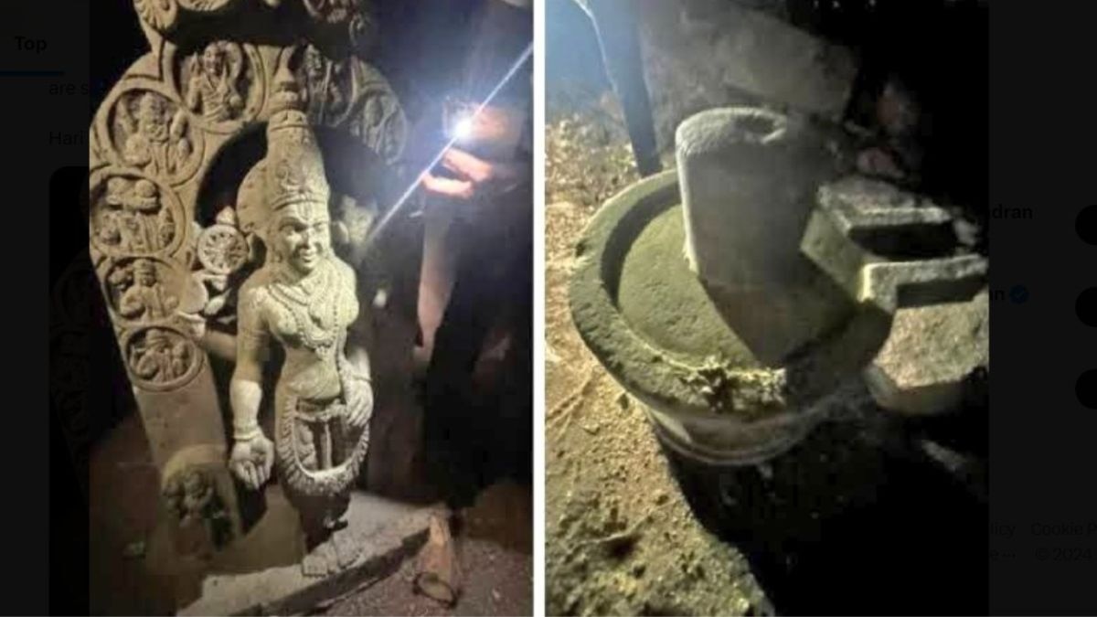 ayodhya ram mandir look alike Lord Vishnu Idol found in karnataka raichur river latest updates 