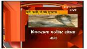 प्रियकराच्या पत्नीवर सर्पमित्राच्या मदतीने साप सोडला...आणि...